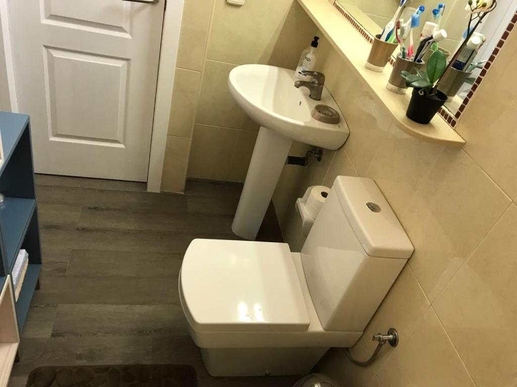 מספאלומס 507 Green Oasis מראה חיצוני תמונה