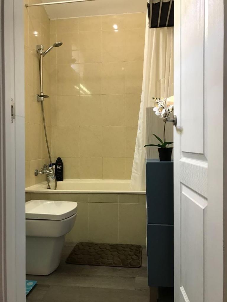 מספאלומס 507 Green Oasis מראה חיצוני תמונה