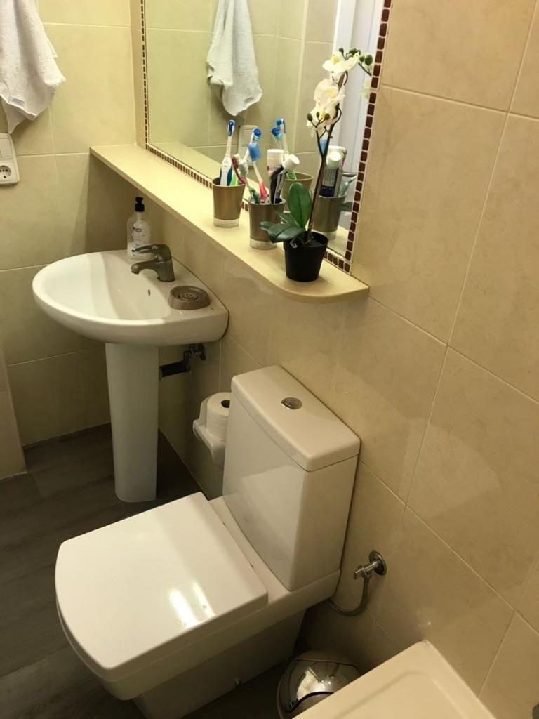 מספאלומס 507 Green Oasis מראה חיצוני תמונה