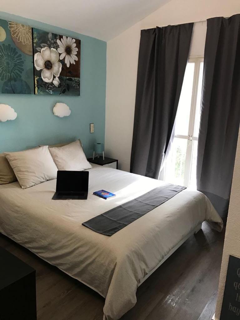 מספאלומס 507 Green Oasis מראה חיצוני תמונה