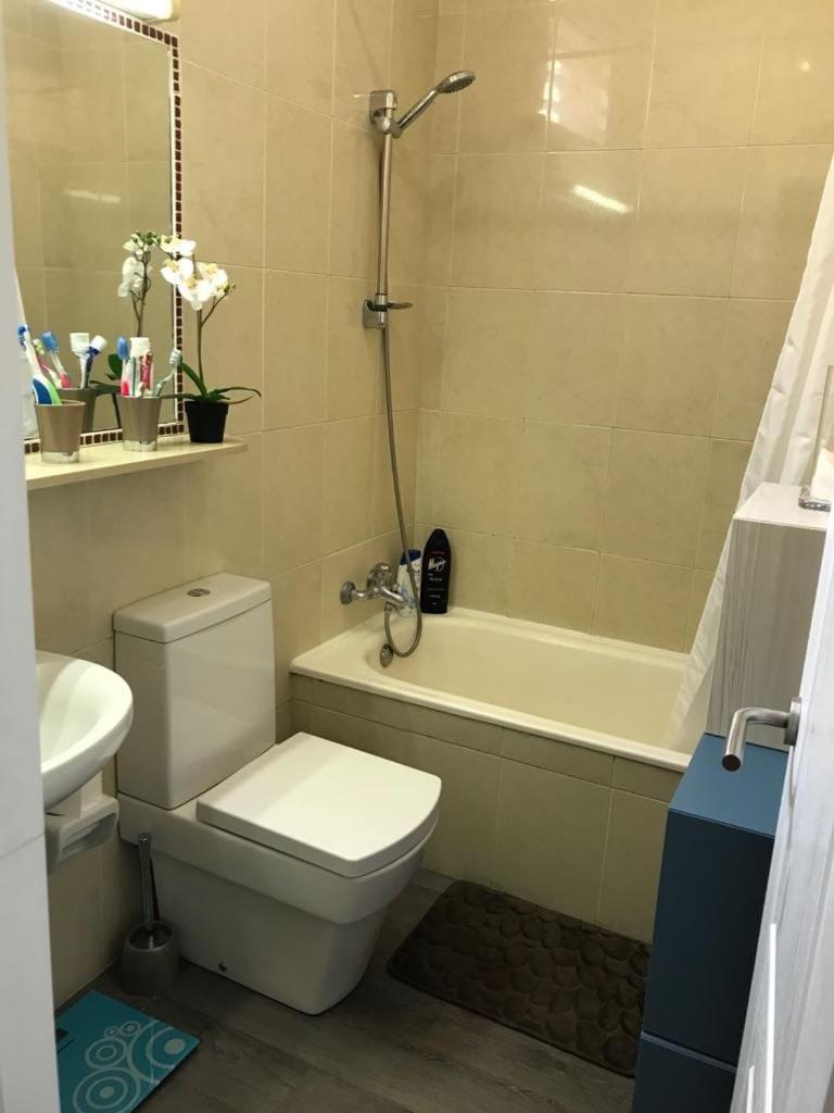 מספאלומס 507 Green Oasis מראה חיצוני תמונה